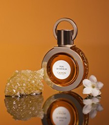 Picture for category Fragrance