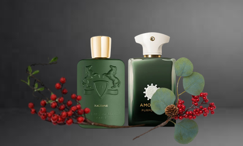 Explore the Best Long Lasting Perfumes for Men in Dubai